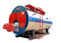 Oil Gas Boiler